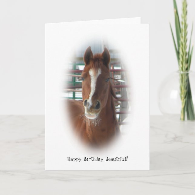 Happy Birthday Horse Card (Front)