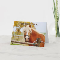 Happy Birthday Horse