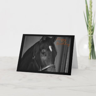 Happy Birthday horse card Birthday wishes