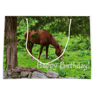 Happy Birthday Horse Large Gift Bag