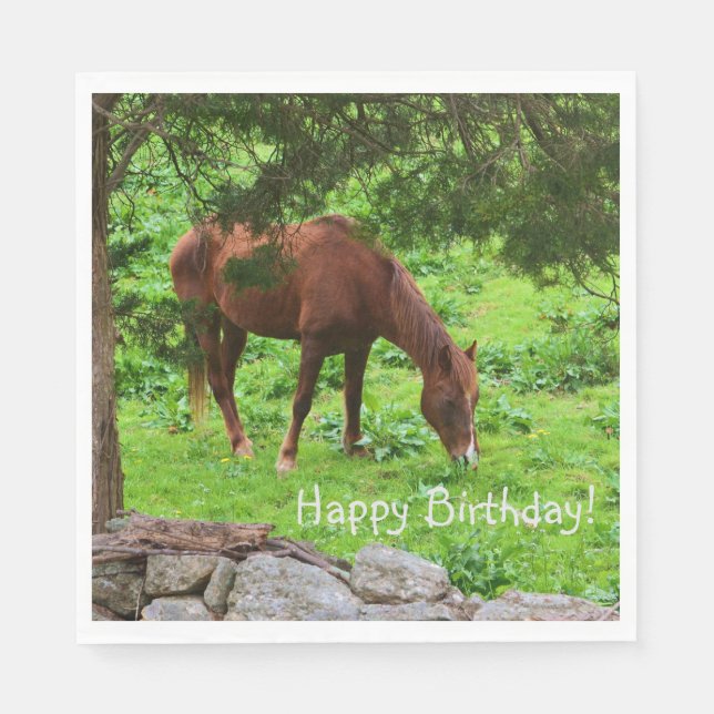 Happy Birthday Horse Napkins (Front)