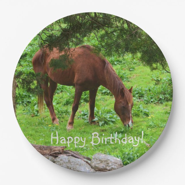 Happy Birthday Horse Paper Plates (Front)