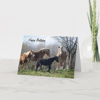 Happy Birthday Horses Card by tyounglyle at Zazzle