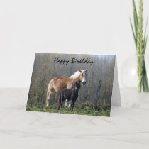 Happy Birthday Horses Card