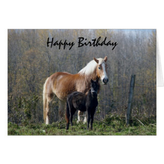 Happy Birthday Horse Cards | Zazzle