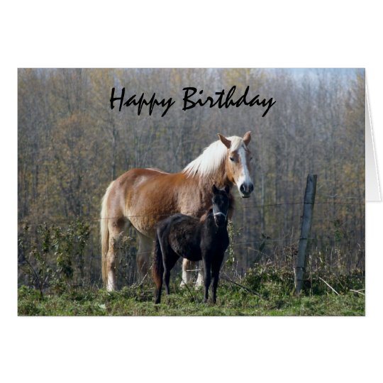 happy birthday horses card zazzle