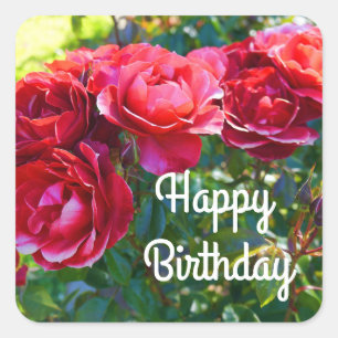 Happy Birthday Hot Cocoa Rose #3 Stickers