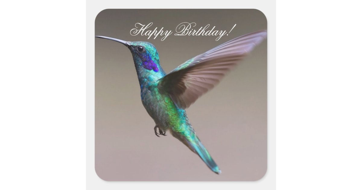 Happy Birthday Hummingbird Square Sticker Zazzle