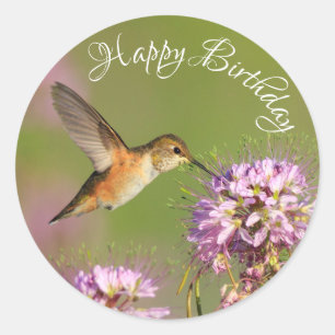 Happy Birthday Hummingbird Wildflowers Classic Round Sticker