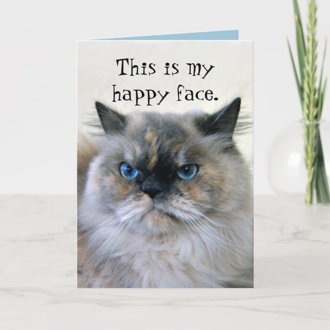 Happy Birthday Humor Himalayan Persian Cat Card (Front)