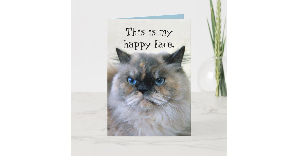 Happy Birthday Humor Himalayan Persian Cat Card Zazzle Com