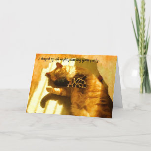 Happy Birthday humorous cat card