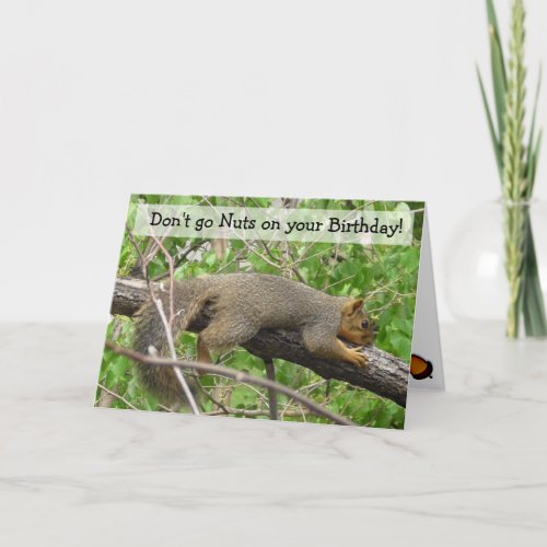 Happy Birthday Humorous Funny Squirrel Card