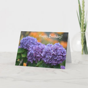 Happy Birthday Impressionistic Purple Hydrangea Holiday Card