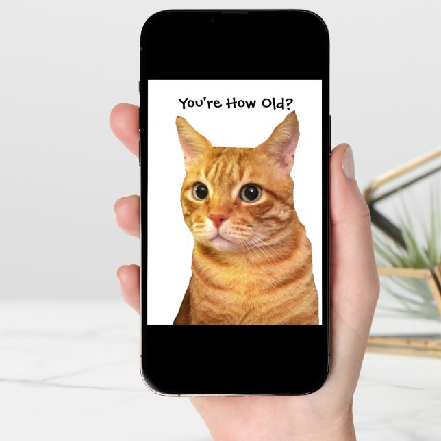 Happy Birthday in Cat Years Card (Front Digital)