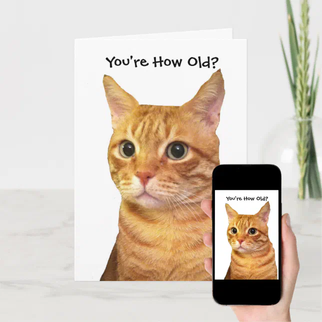 Happy Birthday in Cat Years Card | Zazzle