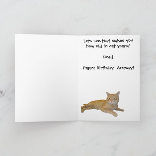 Happy Birthday in Cat Years Card | Zazzle