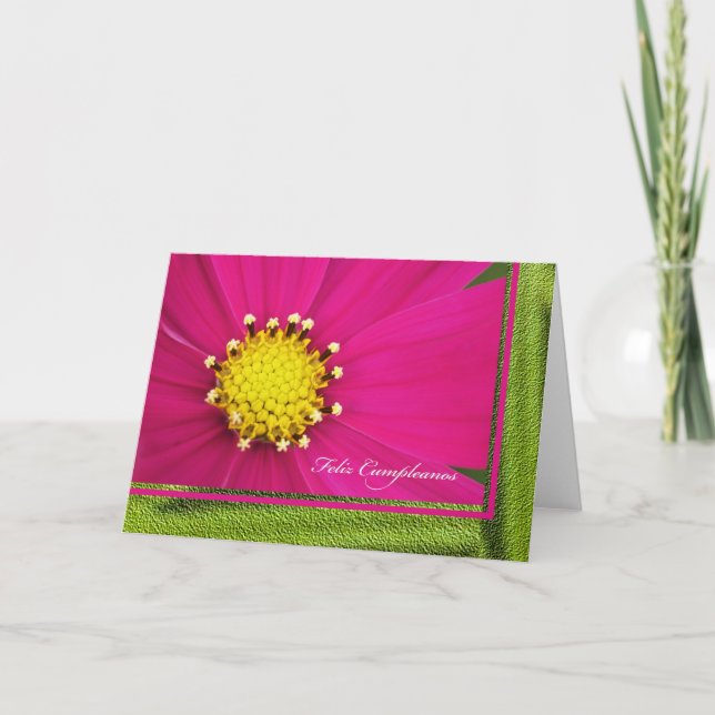 Happy Birthday in Spanish Card -- Feliz Cumpleanos (Front)