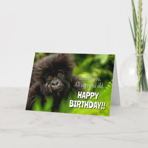 Happy Birthday  Infant Mountain Gorilla Card