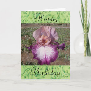 Happy Birthday - Iris Card
