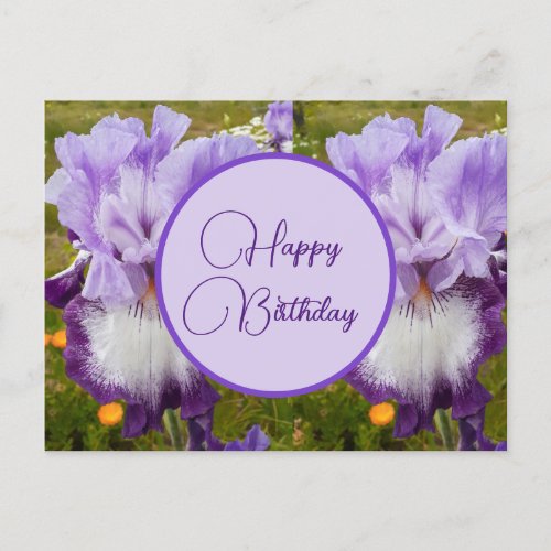 Happy Birthday Iris floral ladies Postcard