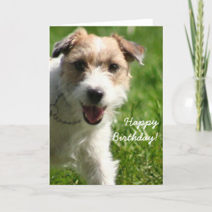 Happy Birthday Jack Russell Terrier greeting card