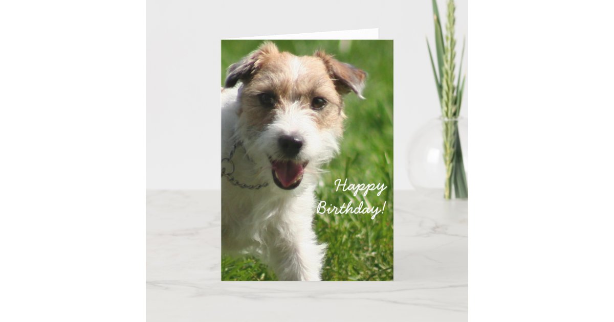 Happy Birthday Jack Russell Terrier greeting card Zazzle