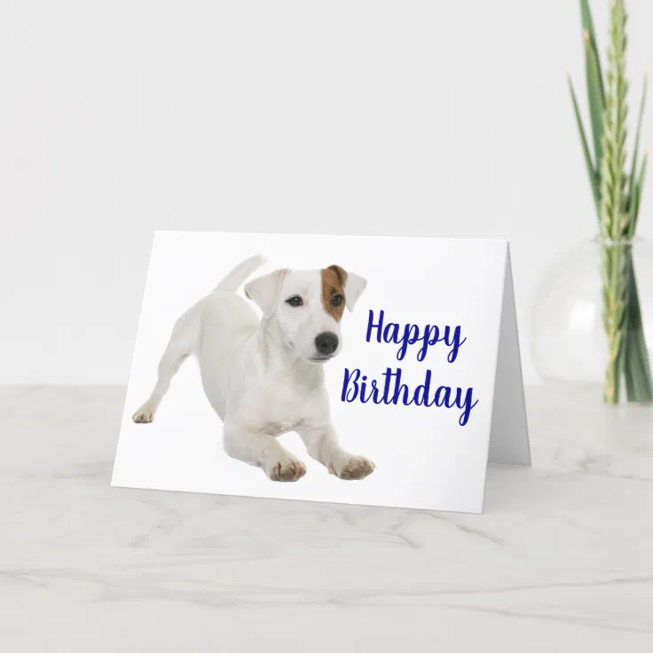 jack russell birthday card