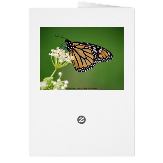 Happy Birthday Jan Monarch Butterfly (Back)