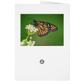 Happy Birthday Jan Monarch Butterfly Cards (Back)