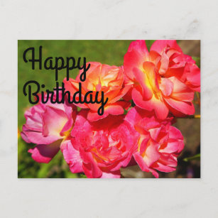 Happy Birthday Joseph’s Coat Rose #1-2 Postcard