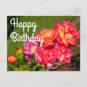 Happy Birthday Joseph’s Coat Rose #1 Postcard