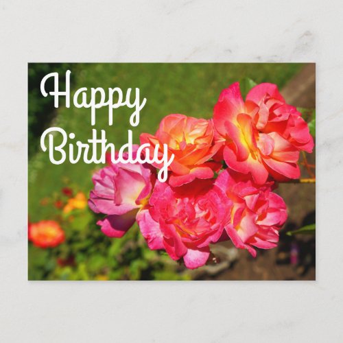Happy Birthday Josephs Coat Rose 1 Postcard