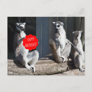 Happy Birthday Katta Postcard