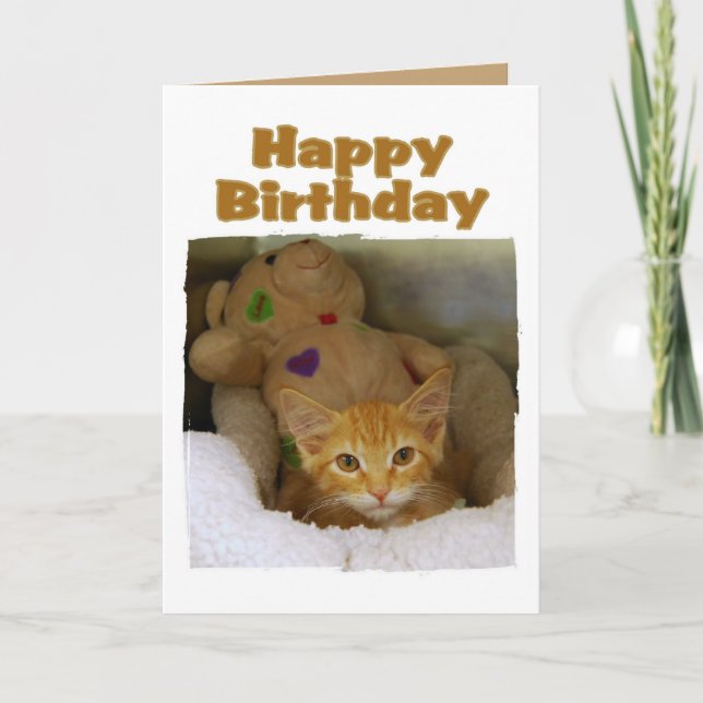 Happy Birthday Kitten Card (Front)
