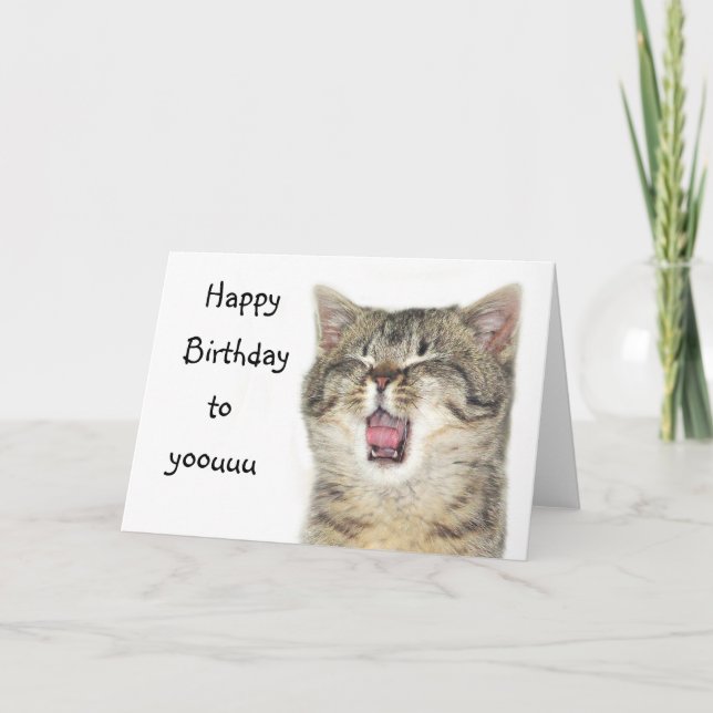 Happy Birthday kitten Card (Front)