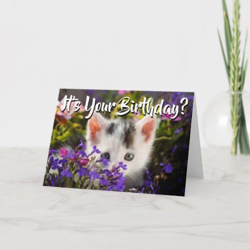 Happy Birthday Kitten Flowers Card