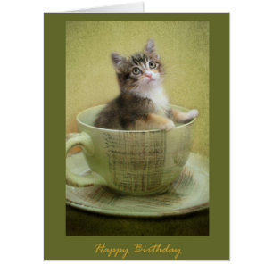 Happy Birthday kitten in a cup Card