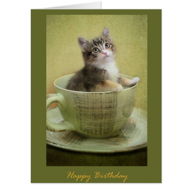 Happy Birthday kitten in a cup Card (Front)