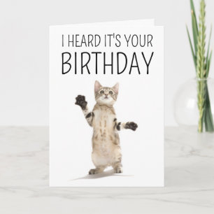 Happy Birthday Kitten on White Card