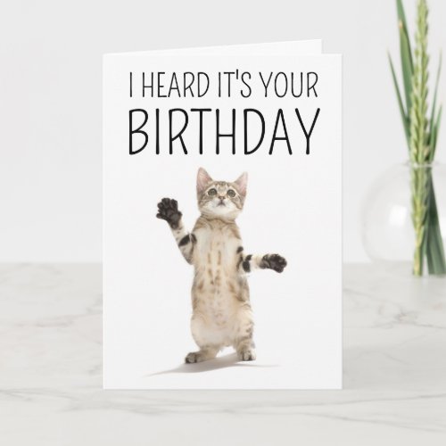 Happy Birthday  Kitten on White Card