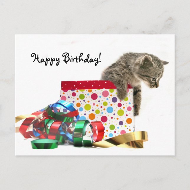 Happy Birthday kitten Postcard (Front)