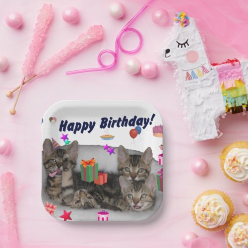 Happy Birthday Kittens paper plates