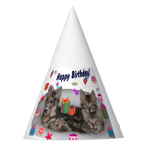 Happy Birthday Kittens Party Hat