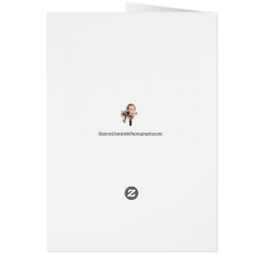 Happy Birthday Kitty Cat (Back)