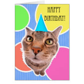 Happy Birthday Kitty Cat (Front)