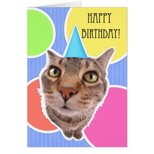 Happy Birthday Kitty Cat Cards (Front)