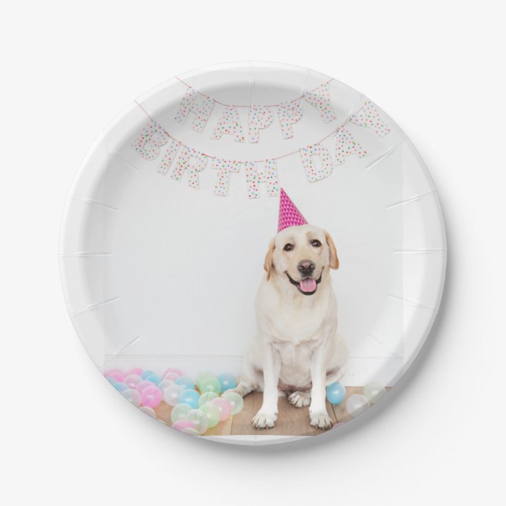 Happy Birthday Lab Plate | Zazzle