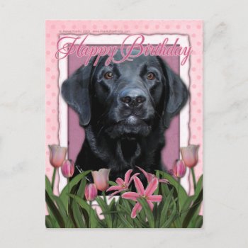 Happy Birthday - Labrador - Black - Gage Postcard by FrankzPawPrintz at Zazzle