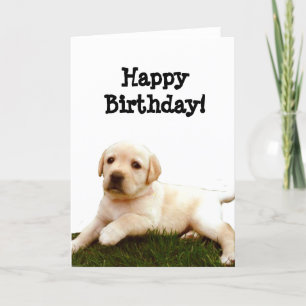 Happy Birthday Labrador puppy greeting card